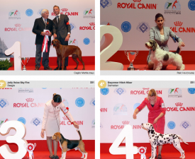 wds2015_junior_fci6.png (1.65 МБ, Просмотров: 4072) wds2015_junior_fci6.png