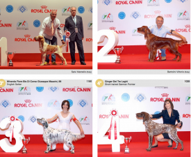 wds2015_junior_fci7.png (1.64 МБ, Просмотров: 3696) wds2015_junior_fci7.png