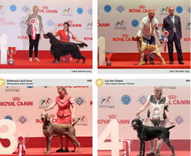 wds2015_fci7.png (1.65 МБ, Просмотров: 3418) wds2015_fci7.png