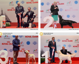 wds2015_fci8.png (1.63 МБ, Просмотров: 3418) wds2015_fci8.png