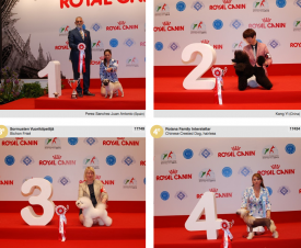 wds2015_junior_fci9.png (1.56 МБ, Просмотров: 4070) wds2015_junior_fci9.png