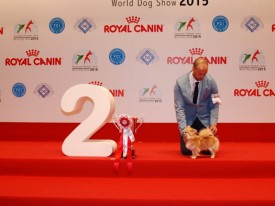 9-19158.jpg (67.83 КБ, Просмотров: 3686) 9-19158.jpg