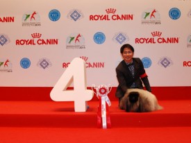 9-19840.jpg (65.96 КБ, Просмотров: 3602) 9-19840.jpg