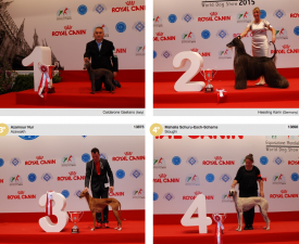 wds2015_fci10.png (1.51 МБ, Просмотров: 4069) wds2015_fci10.png