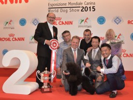 16-17241.jpg (93.47 КБ, Просмотров: 3518) 16-17241.jpg