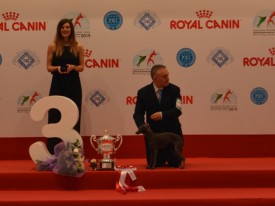 16-14466.jpg (61.52 КБ, Просмотров: 3612) 16-14466.jpg