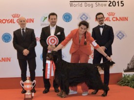 16-1943.jpg (80.42 КБ, Просмотров: 3611) 16-1943.jpg