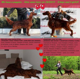 11214043_833688113394533_7750102385232248150_n.jpg (161.86 КБ, Просмотров: 1206) 11214043_833688113394533_7750102385232248150_n.jpg