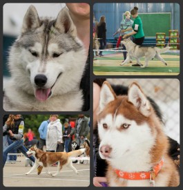 Адри Женева.jpg (393.26 КБ, Просмотров: 3925) Адри Женева.jpg