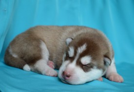 A998O0TDuZo.jpg (50.98 КБ, Просмотров: 3874) A998O0TDuZo.jpg