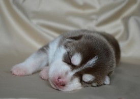 OR07FgexTGA.jpg (46.11 КБ, Просмотров: 3880) OR07FgexTGA.jpg