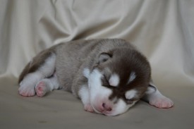 7sX9nFyJ4Uo.jpg (41.92 КБ, Просмотров: 3870) 7sX9nFyJ4Uo.jpg