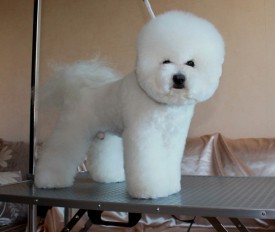 7c820cd470b04c25001d925dd8c070c0.jpg (47.62 КБ, Просмотров: 3150) 7c820cd470b04c25001d925dd8c070c0.jpg