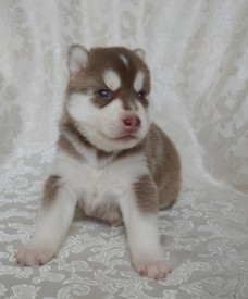 5PpPmo_mT-o.jpg (72.57 КБ, Просмотров: 3835) 5PpPmo_mT-o.jpg