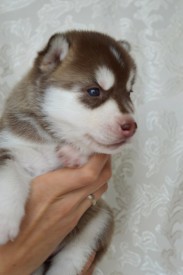 KTSBWaLiVcs.jpg (51.39 КБ, Просмотров: 3835) KTSBWaLiVcs.jpg