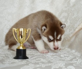 y-GQQb0lEI0.jpg (88.36 КБ, Просмотров: 3305) y-GQQb0lEI0.jpg