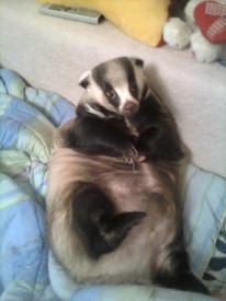 Кузя.jpg (65.54 КБ, Просмотров: 1541) Кузя.jpg