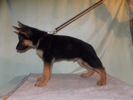 74vjTWQqVp8.jpg (130.99 КБ, Просмотров: 1129) 74vjTWQqVp8.jpg