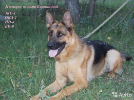 1694012462.jpg (121.54 КБ, Просмотров: 1129) 1694012462.jpg