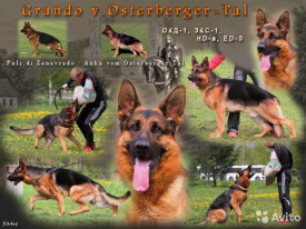 1694011800.jpg (122.25 КБ, Просмотров: 1129) 1694011800.jpg