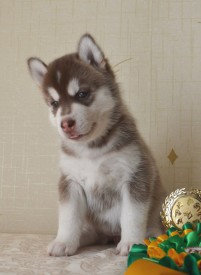 4a8_6Ilh1Mw.jpg (68.93 КБ, Просмотров: 3728) 4a8_6Ilh1Mw.jpg