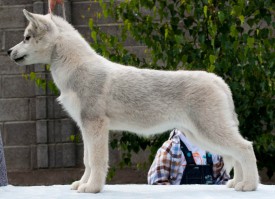 YGgWXJiIjhw.jpg (102.73 КБ, Просмотров: 2131) YGgWXJiIjhw.jpg