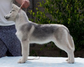 C1w4PH747wA.jpg (74.91 КБ, Просмотров: 1996) C1w4PH747wA.jpg