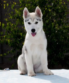 MJS62Ncj9rU.jpg (68.02 КБ, Просмотров: 2130) MJS62Ncj9rU.jpg