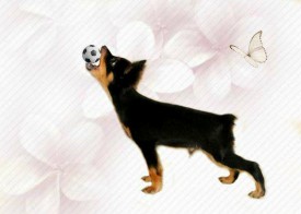 Генри (Копировать).jpg (173.83 КБ, Просмотров: 2521) Генри (Копировать).jpg