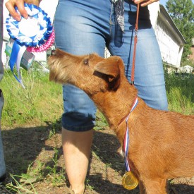 Южа 4.jpg (223.75 КБ, Просмотров: 2399) Южа 4.jpg