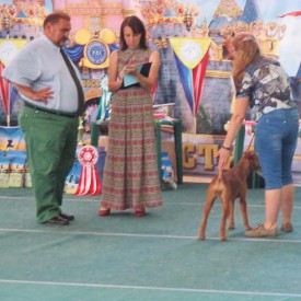 Южа 3.jpg (109.87 КБ, Просмотров: 2405) Южа 3.jpg