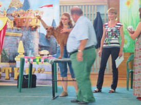 Южа 2.jpg (89.4 КБ, Просмотров: 2402) Южа 2.jpg