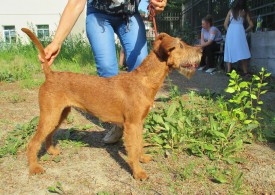 Южа 1.jpg (169 КБ, Просмотров: 2305) Южа 1.jpg