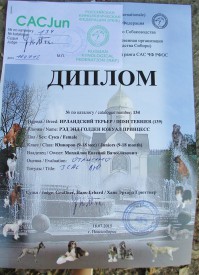 Южа диплом.jpg (128.37 КБ, Просмотров: 2630) Южа диплом.jpg