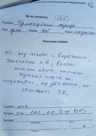 Гемма - описание.jpg (66.48 КБ, Просмотров: 2150) Гемма - описание.jpg