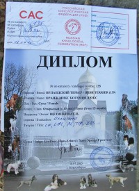 Гемма - диплом.jpg (117.53 КБ, Просмотров: 2629) Гемма - диплом.jpg