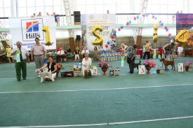 Джим 5.jpg (95.89 КБ, Просмотров: 2627) Джим 5.jpg