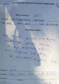 Джим описание.jpg (68.67 КБ, Просмотров: 2399) Джим описание.jpg