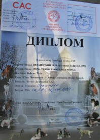 Джим 1 диплом.jpg (100.25 КБ, Просмотров: 2627) Джим 1 диплом.jpg
