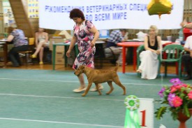 Дерика 4 бест.jpg (66.74 КБ, Просмотров: 2312) Дерика 4 бест.jpg