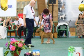 Дерика 3 бест.jpg (85.8 КБ, Просмотров: 2289) Дерика 3 бест.jpg