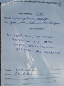 Дерика описание.jpg (51.44 КБ, Просмотров: 2627) Дерика описание.jpg
