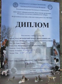 Дерика диплом.jpg (103.96 КБ, Просмотров: 2630) Дерика диплом.jpg