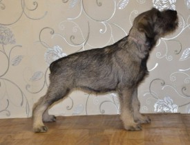 1+.jpg (64.17 КБ, Просмотров: 3609) 1+.jpg