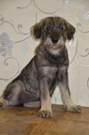 1.jpg (145.99 КБ, Просмотров: 3609) 1.jpg