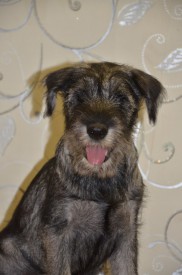 1.jpg (107.8 КБ, Просмотров: 3609) 1.jpg