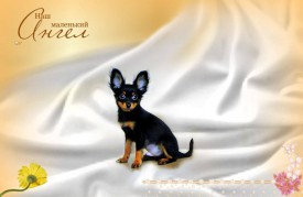 11774344_621245084683904_514582762_n.jpg (43.02 КБ, Просмотров: 2517) 11774344_621245084683904_514582762_n.jpg