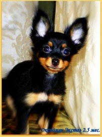 DSC01018-2 (Копировать).jpg (179.19 КБ, Просмотров: 2523) DSC01018-2 (Копировать).jpg