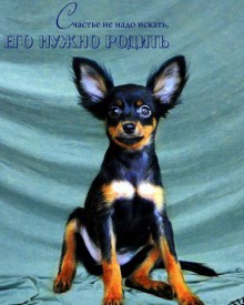 11791666_621249171350162_1134040989_n.jpg (41.06 КБ, Просмотров: 2517) 11791666_621249171350162_1134040989_n.jpg