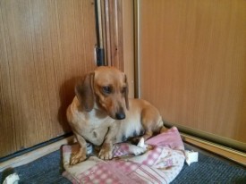 image.jpg (111.43 КБ, Просмотров: 1650) image.jpg